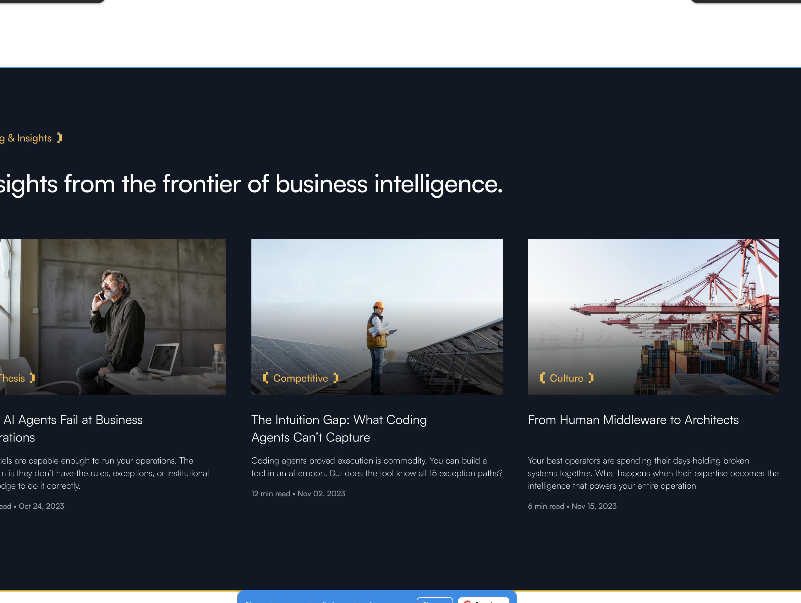Insights from the frontier of business intelligence